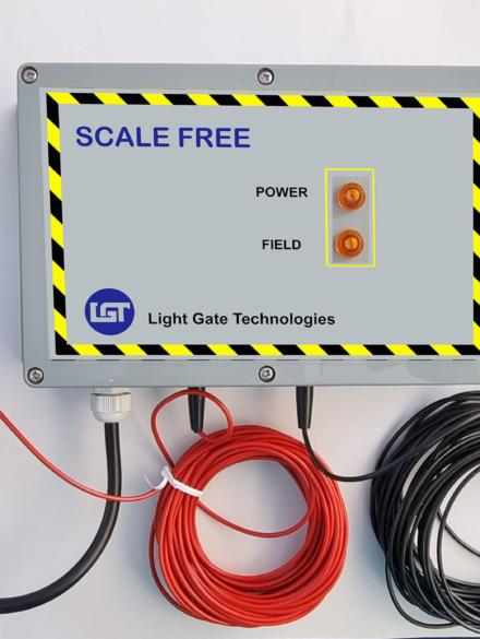 scale free
