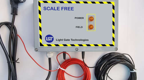 scale free
